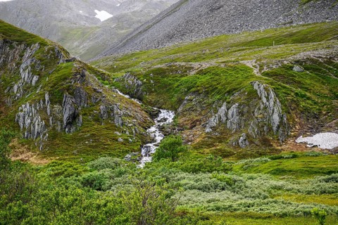 Highlands with a small waterfall and lush vegetation between rocky slopes, Berlevåg, Finnmark,