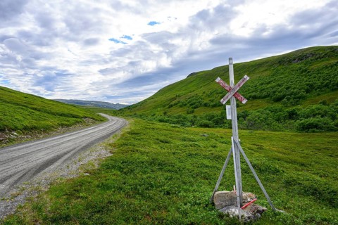 A lonely road with a road sign in a green hilly landscape under a partial sky, Berlevåg, Finnmark,