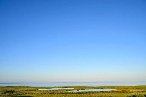 Clear blue sky over extensive moorland with shallow moor lakes on the coast of the Barents Sea on