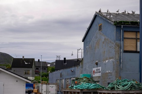 Industrial building Fishing building for processing king crabs (Paralithodes camtschaticus) with