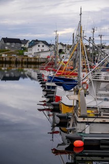 Fishing boats Fishing vessels are moored in Berlevag harbour in the north of the Varanger Peninsula