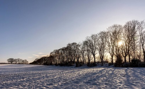 Winter landscape, fields and fields in Berlin Lübars, a village in Berlin Reinickendorf, Germany