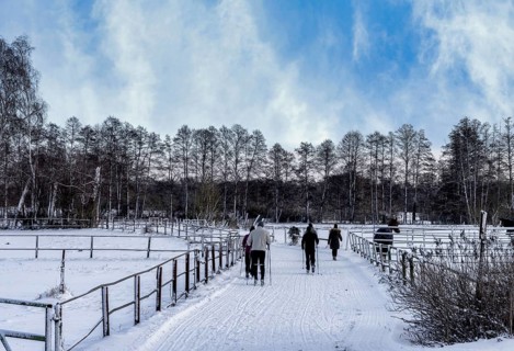 Athletes in winter in the midst of fields and fields in Berlin Lübars, Reinickendorf District,