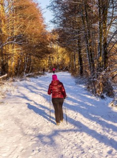 Fresh snow in the city, hikers in winter in the middle of the fields in Berlin Lübars, a district