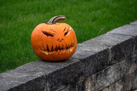 Carved pumpkin on a wall at Halloween, Franconia, Bavaria, Germany