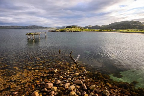 Ruins of a wooden walkway in a calm lake off a wooded island, Veidnes, Kongsfjord, Finnmark, Norway
