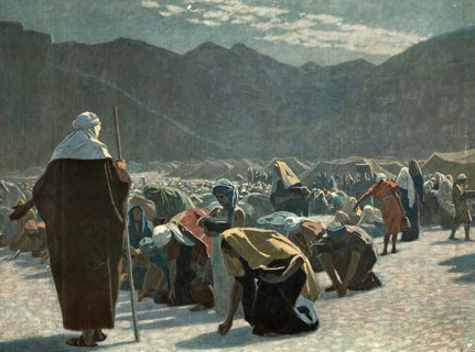 Scene from the biblical story, manna, described a miraculous food that God gave to the people of