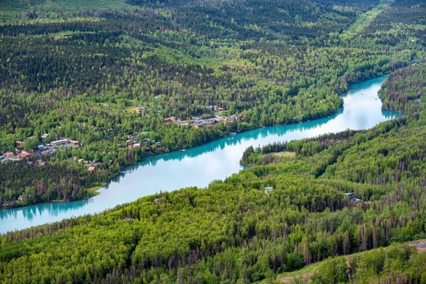 View of turquoise blue Kenai River, Slaughter Ridge Trail, Cooper Landing, Kenai Peninsula, Alaska,