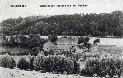 Angermünde, restaurant am Stadtforst, district of Uckermark in the state of Brandenburg, Germany,