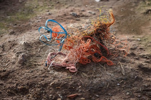An abandoned nest of a gannet (Sula bassana) made of different materials with a lot of plastic