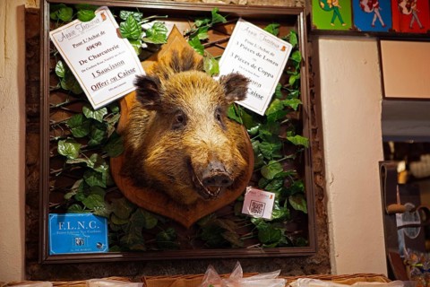 Boar head at the entrance to a delicatessen shop, Calvi, Balagne, Haute-Corse department, Corsica,
