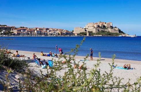 Calvi beach, back the citadel, Balagne, Haute-Corse department, Corsica, France