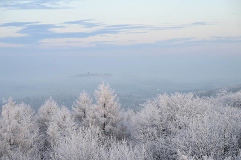 Snowy range of hills with frosty trees in the morning light, Hermannsweg an der Steinegge, Dissen