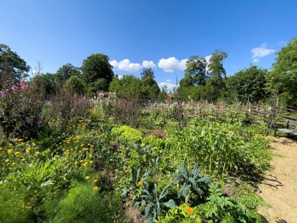 A path along the colorful cottage garden of the famous botanist and taxonomist Carl von Linne with