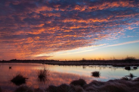 Sunrise in winter moor, Goldenstedt, Lower Saxony, Germany