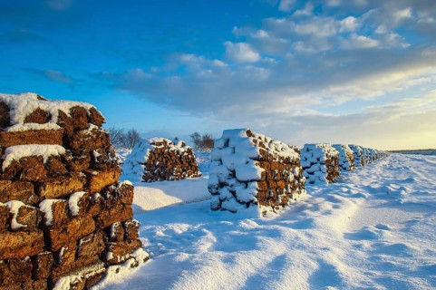 Peat cut in sod in a wintry moor, Goldenstedt, Lower Saxony, Germany
