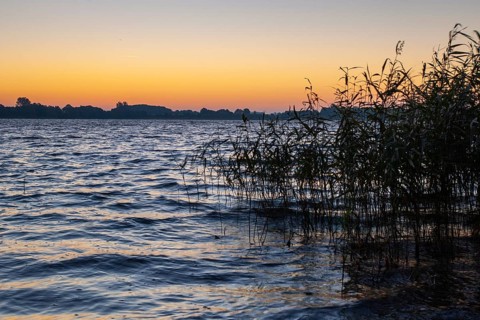 Shore of Schaalsee near Sonneuafgang with reeds, Zarrentin, Mecklenburg-Western Pomerania, Germany