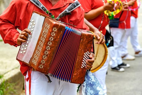 Accordion player with his instrument during a Congado religious festival in the state of Minas
