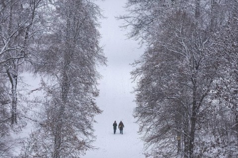Walkers walk through the snow-covered Tiergarten in Berlin on 03.01.2026