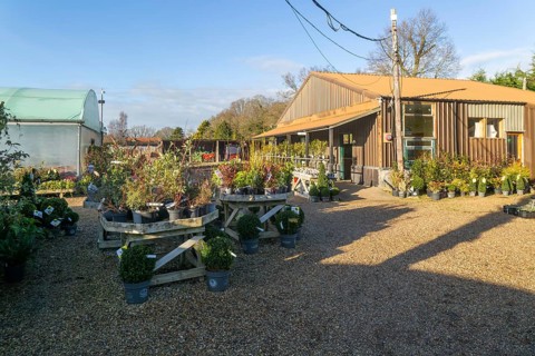Swann's nursery garden centre, Bromeswell, Woodbridge, Suffolk, England, UK 30 Dec 2025