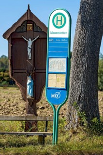 MVV bus stop at a traditional field cross, wayside cross, bench and oak (Quercus) in a field,