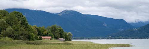 Banks of Tegernsee, reed grass, forest and boathouses on the lake, Gmund, Tegernsee, Upper Bavaria,