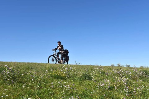 Woman riding a bicycle on a dike on the Darß peninsula, Mecklenburg-Western Pomerania, Germany