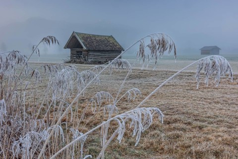 Hut, wooden hut, grasses, frost, hoarfrost, cold, winter, fog, high fog, mountains, Loisach-Lake