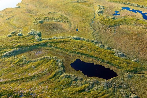 Aerial view of a small pond surrounded by green moor and thick vegetation, Varanger Fjord, Barents
