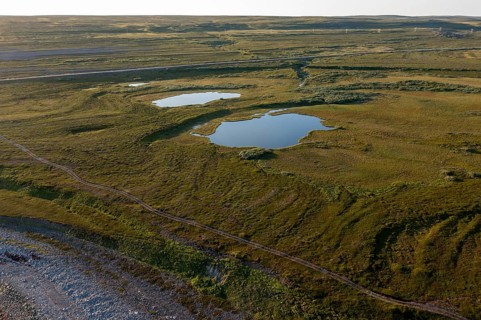 Coastal landscape on Varanger Fjord with blue sky, still sea, moors and pebble beach, Barents Sea,