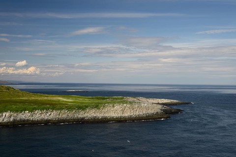 Coast with green vegetation and blue sea on the Barents Sea Varangerfjord under a wide sky with