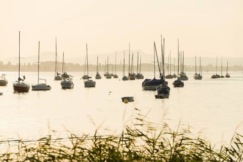 Sailboats, sunset, Allensbach, Untersee, Lake Constance, Baden-Württemberg, Germany