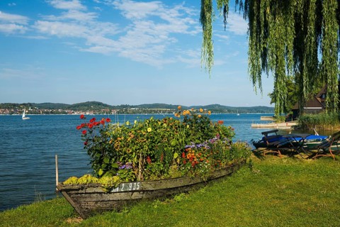 Waterfront, Niederzell, Reichenau Island, Lake Constance, Baden-Württemberg, Germany