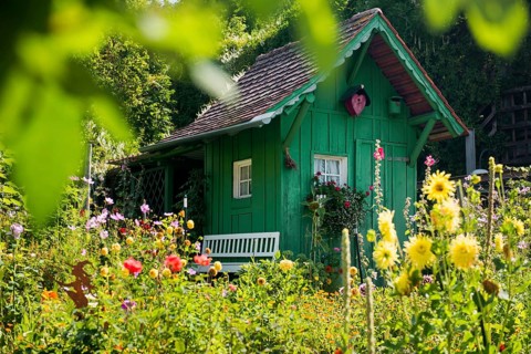 Green garden shed and summer flower garden, allotment garden, Meersburg, Lake Constance,