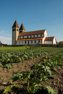 Collegiate Church of St. Peter and Paul and Gemüsefeld, Niederzell, UNESCO World Heritage Site,