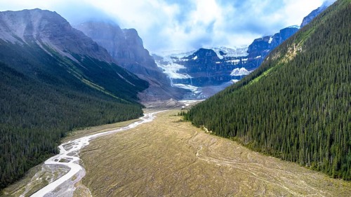 Sun shining on athabasca glacier in jasper national park, alberta, canada, with conifer forest and
