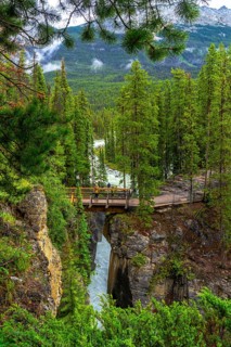 Tourists are enjoying the scenic view from a bridge overlooking the cascading waters of sunwapta