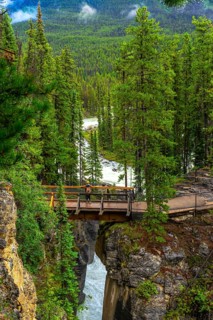 Tourist standing on a wooden footbridge, admiring the stunning sunwapta falls cascading through a