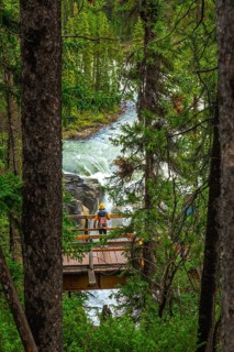 Tourist wearing a yellow jacket and backpack standing on a wooden bridge admiring the sunwapta