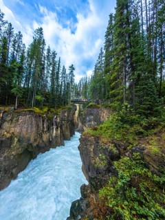 Raging turquoise water cascading through a narrow gorge at sunwapta falls in jasper national park,