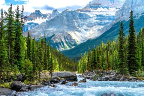 Turquoise water rushing through mistaya canyon in banff national park, alberta, is framed by lush