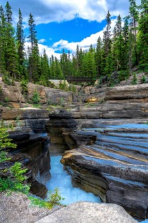 Water flowing powerfully through mistaya canyon carves layered rock formations, surrounded by lush