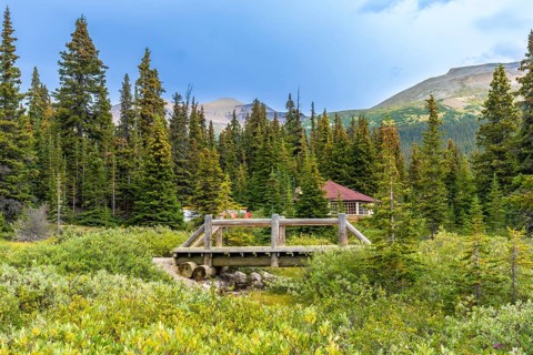 Scenic wooden bridge crossing a small stream in banff national park, surrounded by lush vegetation