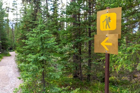 Yellow hiking trail sign directing to mistaya canyon in banff national park, alberta, featuring a