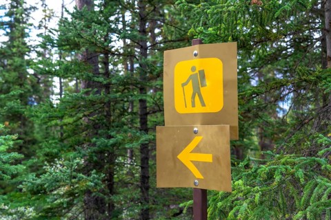 Golden hiking signs are indicating direction for hikers exploring the scenic mistaya canyon trail