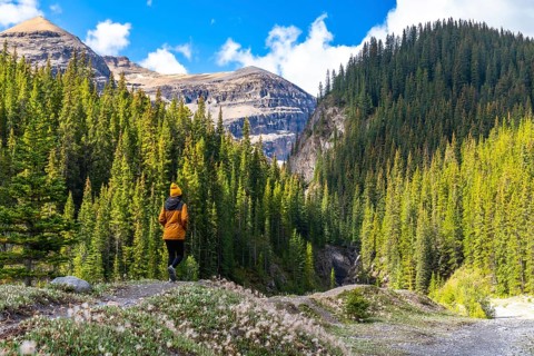 Hiker enjoying breathtaking view of mountains and pine forest while walking along ci fuentes path