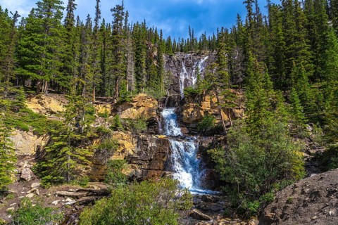 Water cascading over tangle creek falls, framed by lush pine forests and rocky cliffs in jasper