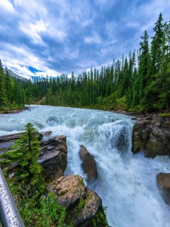 Sunwapta falls cascading over rocks in jasper national park, surrounded by lush evergreen forest