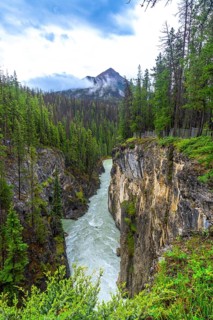 Sunwapta falls rushes through a narrow canyon surrounded by lush pine forest and a mountain peak
