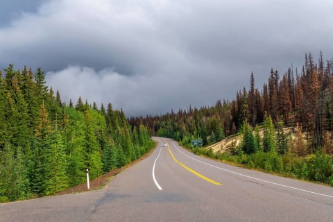 Icefields parkway winding through a coniferous forest under a cloudy sky, showcasing the natural